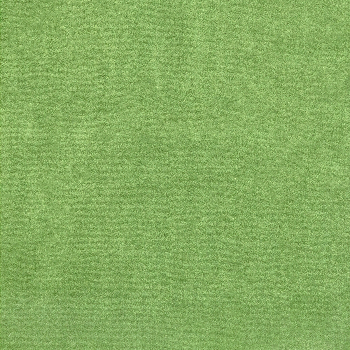 Plushilla-Emerald