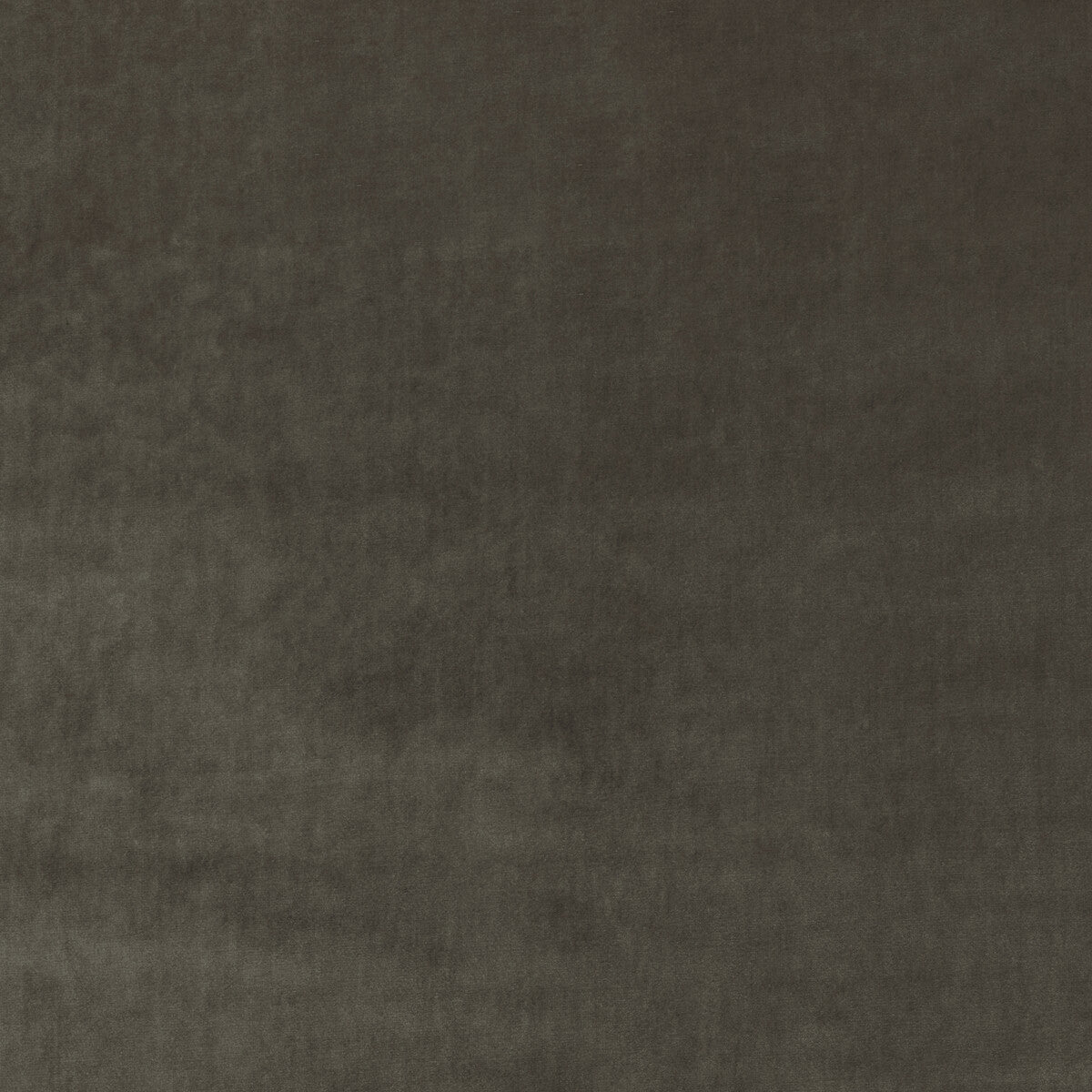 New Elegance-Truffle