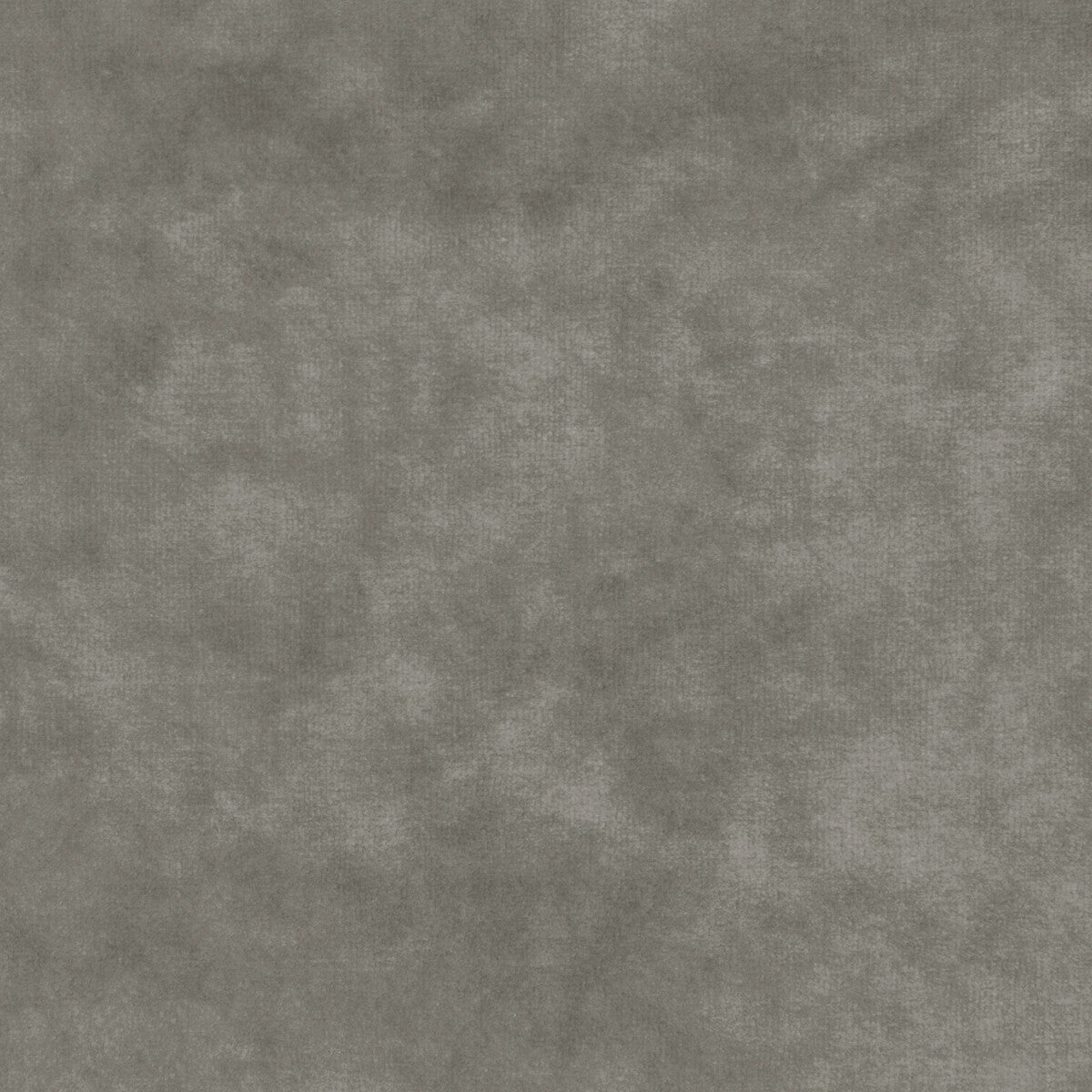 Regal Velvet-Platinum
