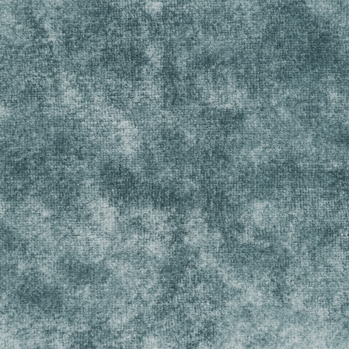 Regal Velvet-Glacier