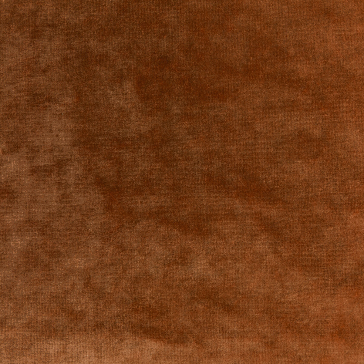Regal Velvet-Ginger