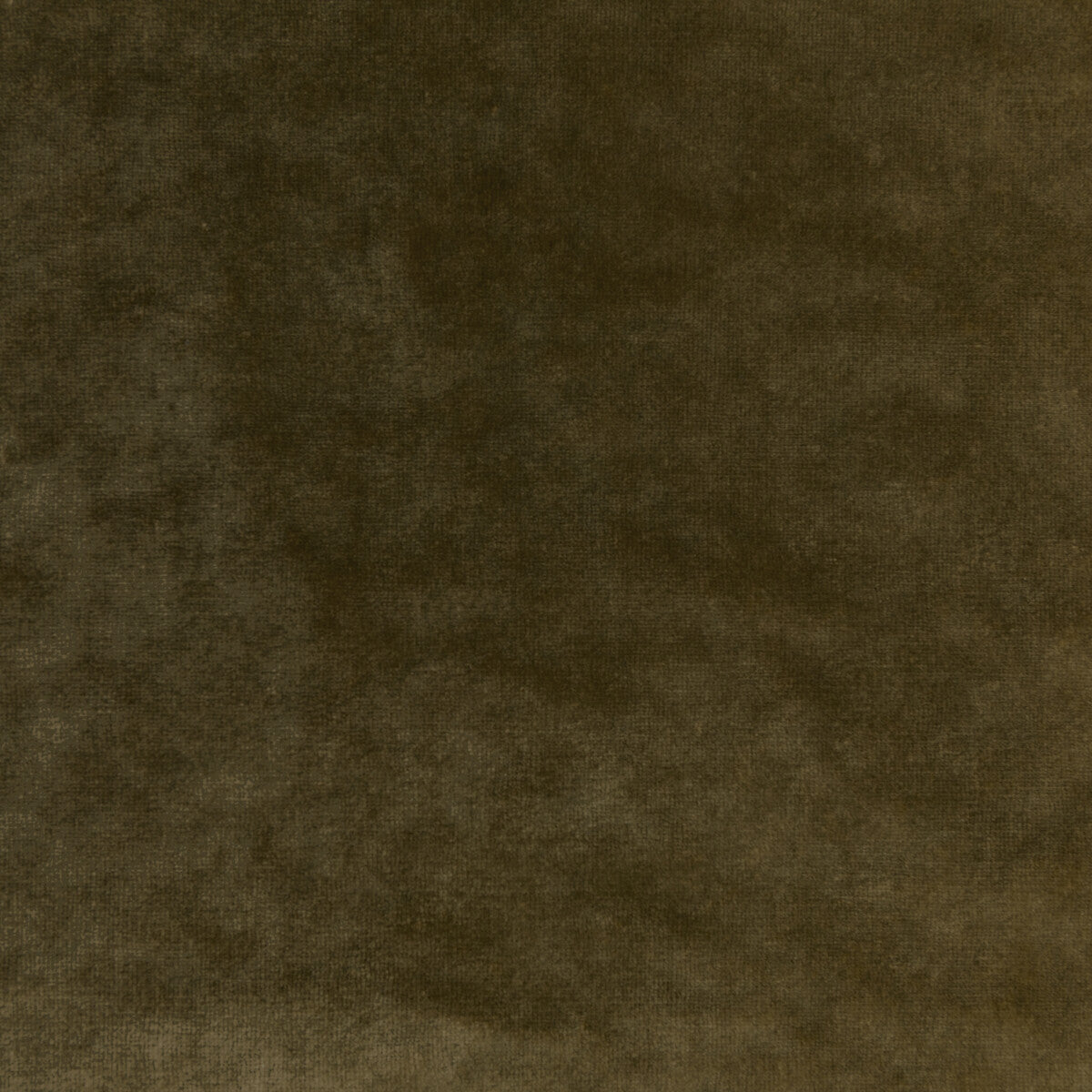 Regal Velvet-Olive