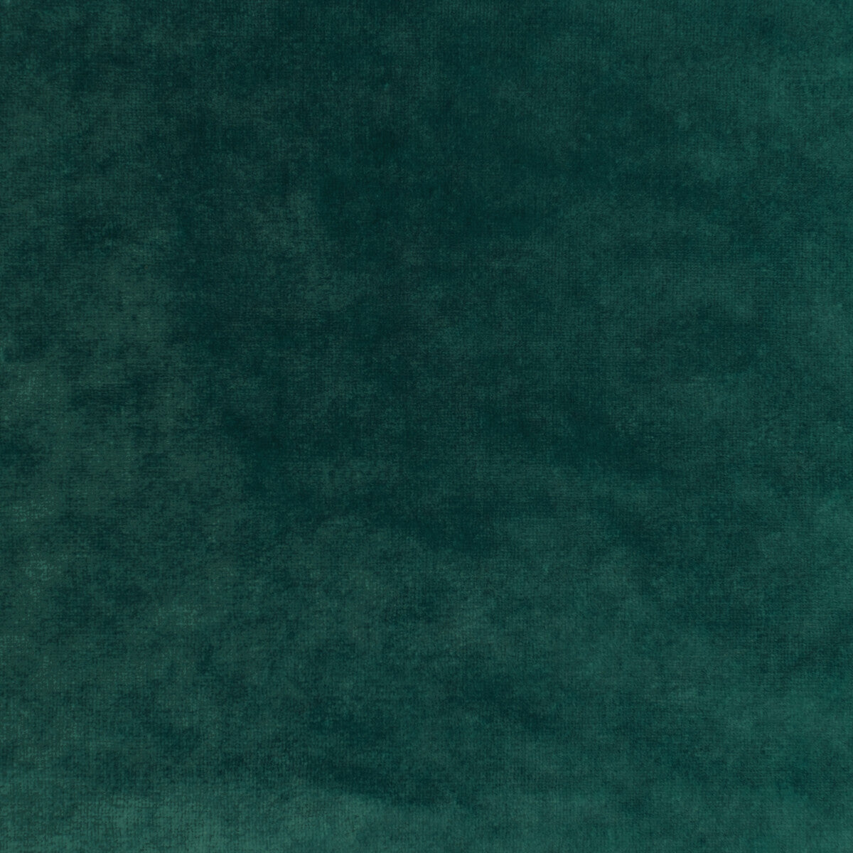 Regal Velvet-Teal