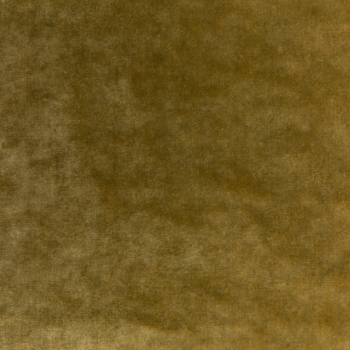 Regal Velvet-Ochre