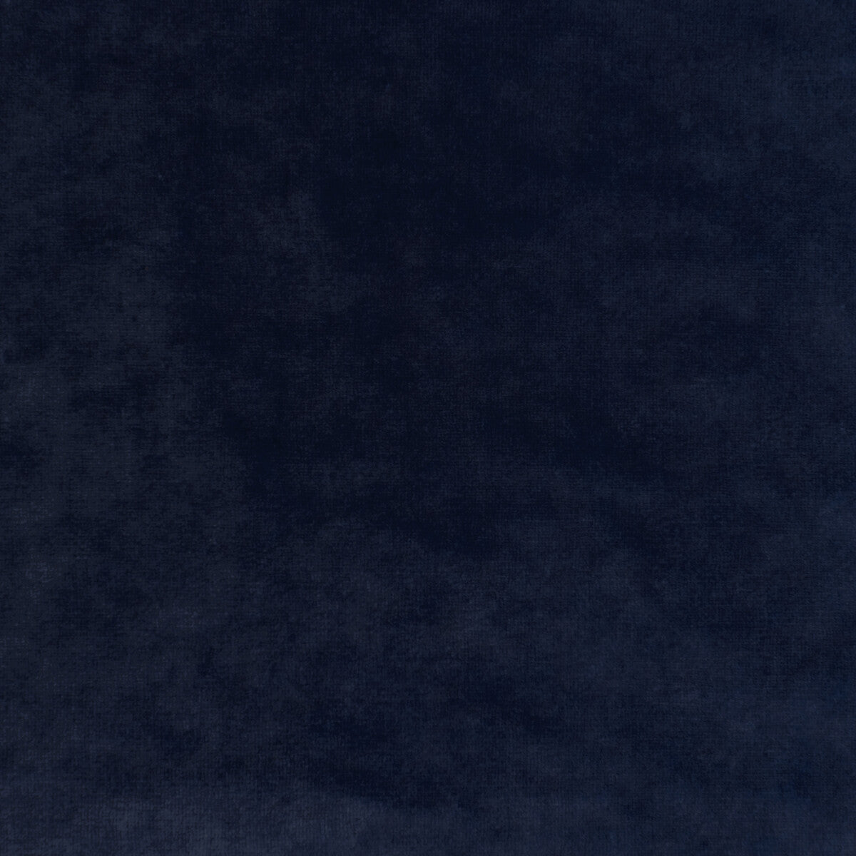 Regal Velvet-Navy