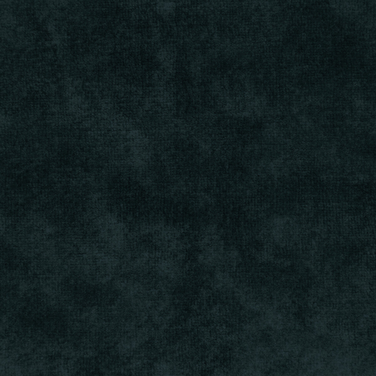 Regal Velvet-Cerulean