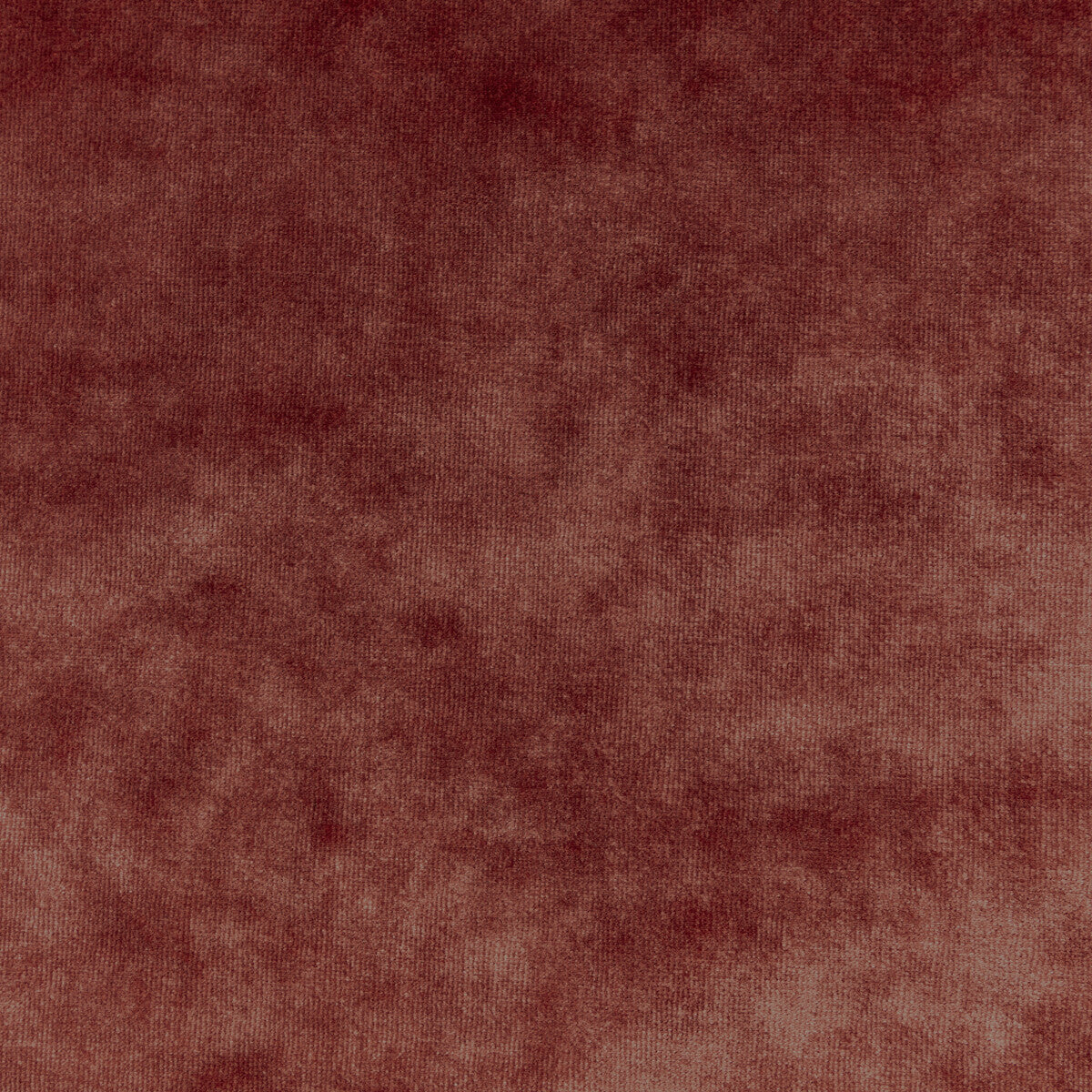 Regal Velvet-Cerise