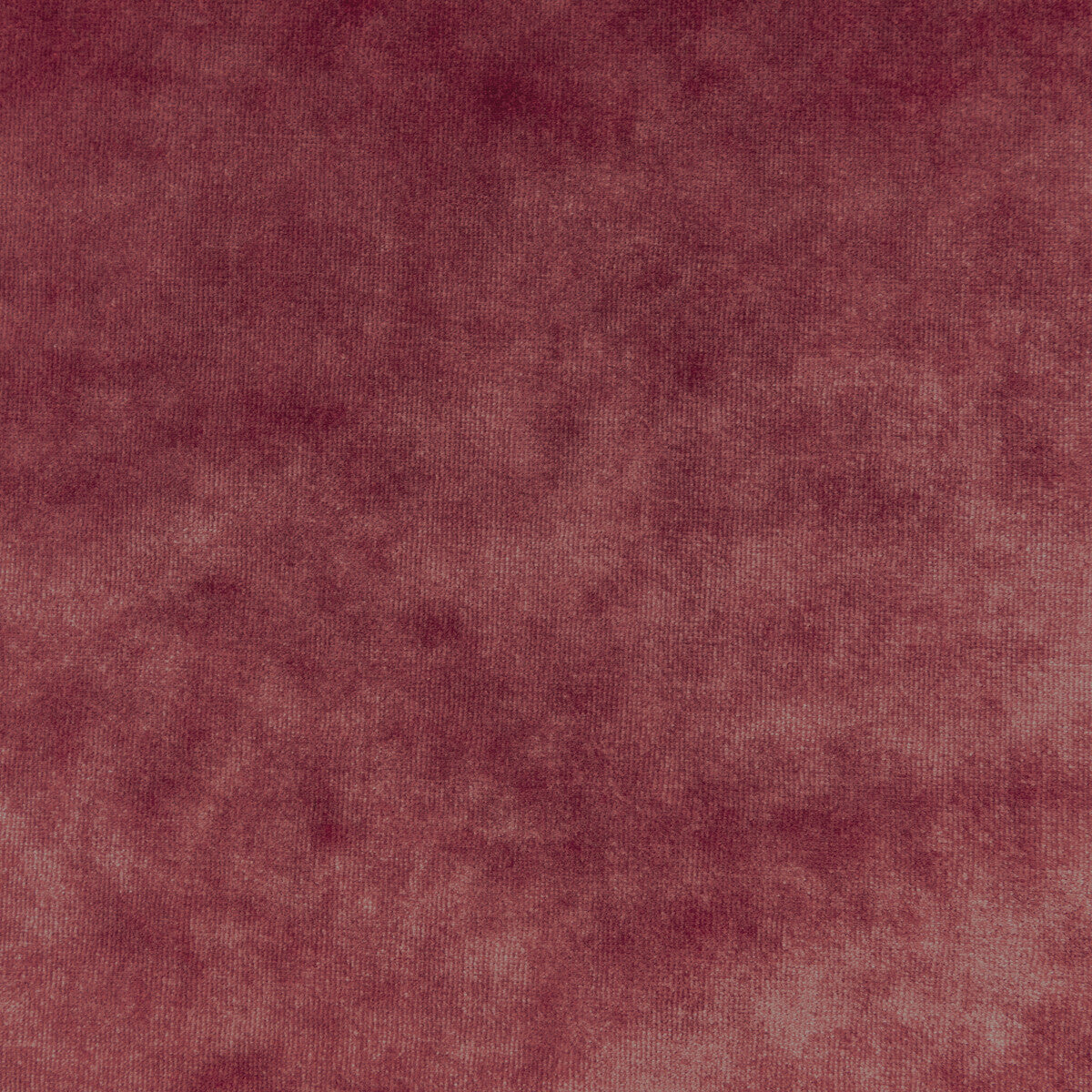 Regal Velvet-Rouge