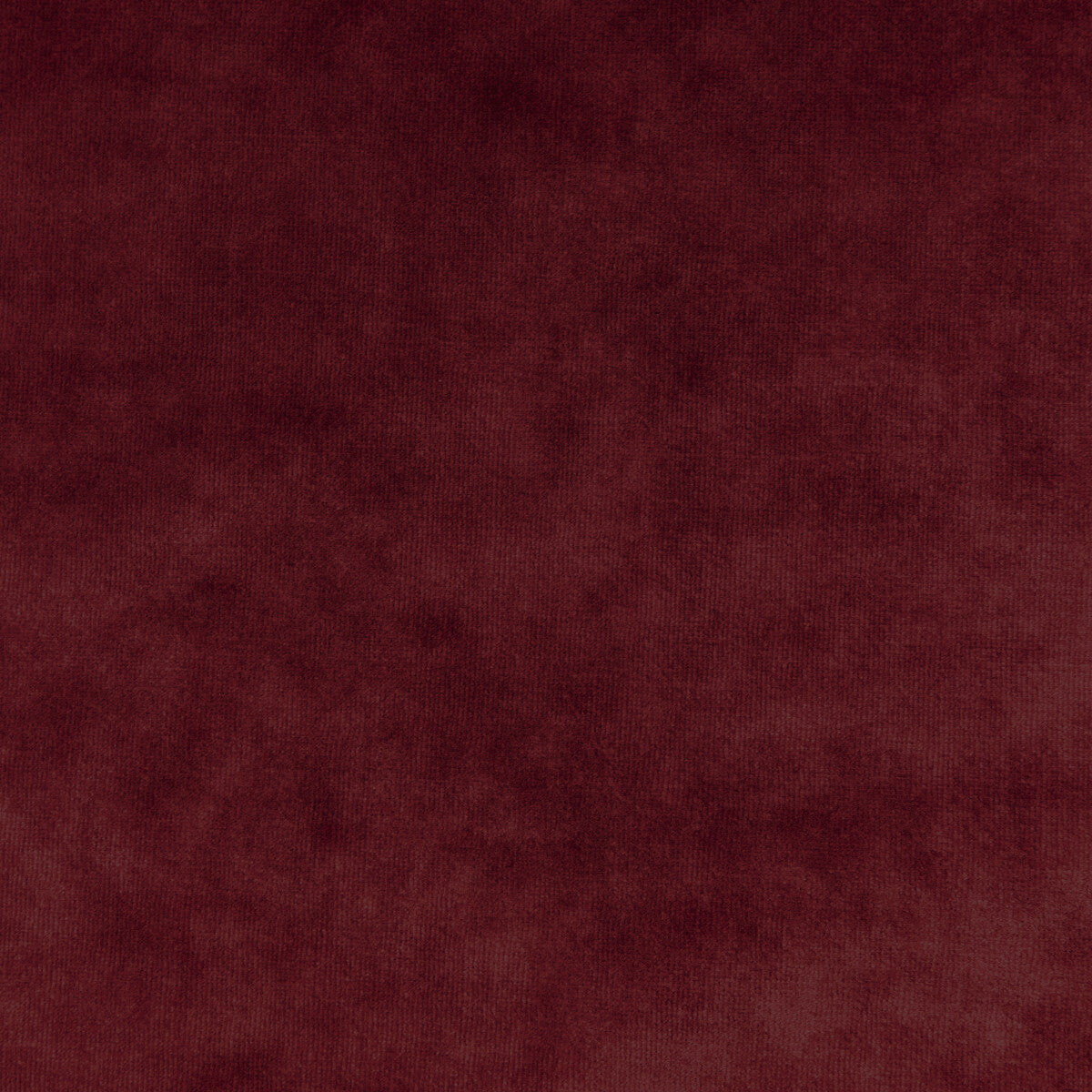 Regal Velvet-Ruby
