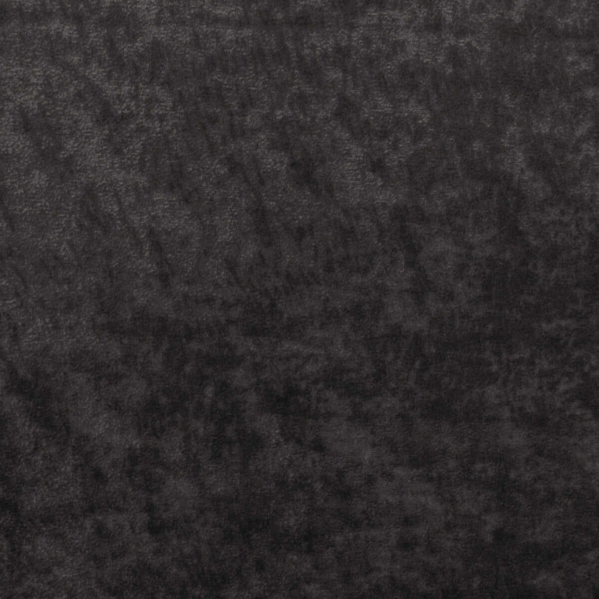 Triumphant-Graphite