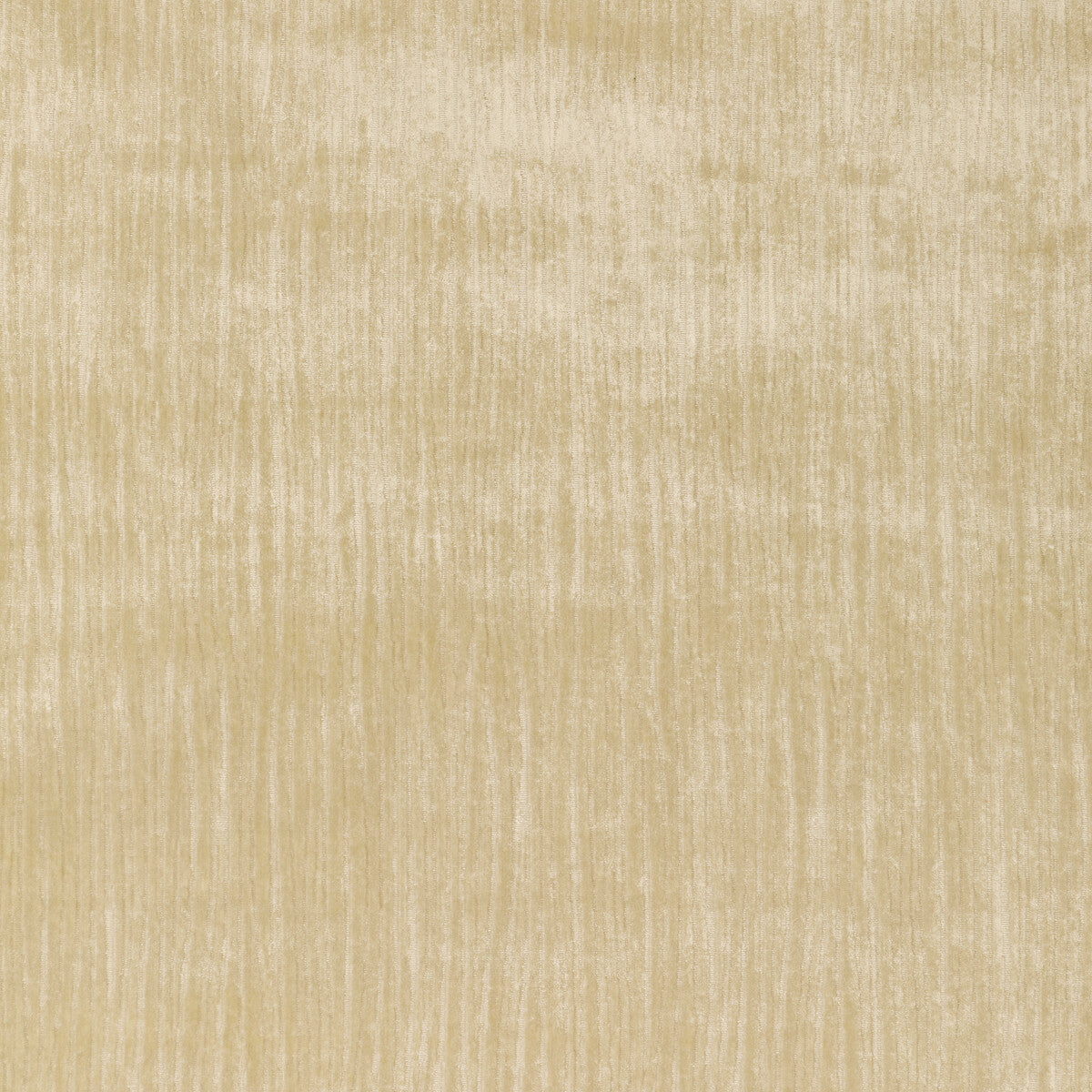 Majesty Velvet-Cream