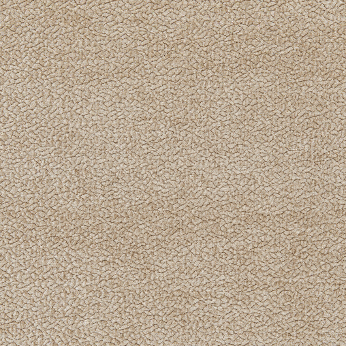 Barton Chenille-Ash