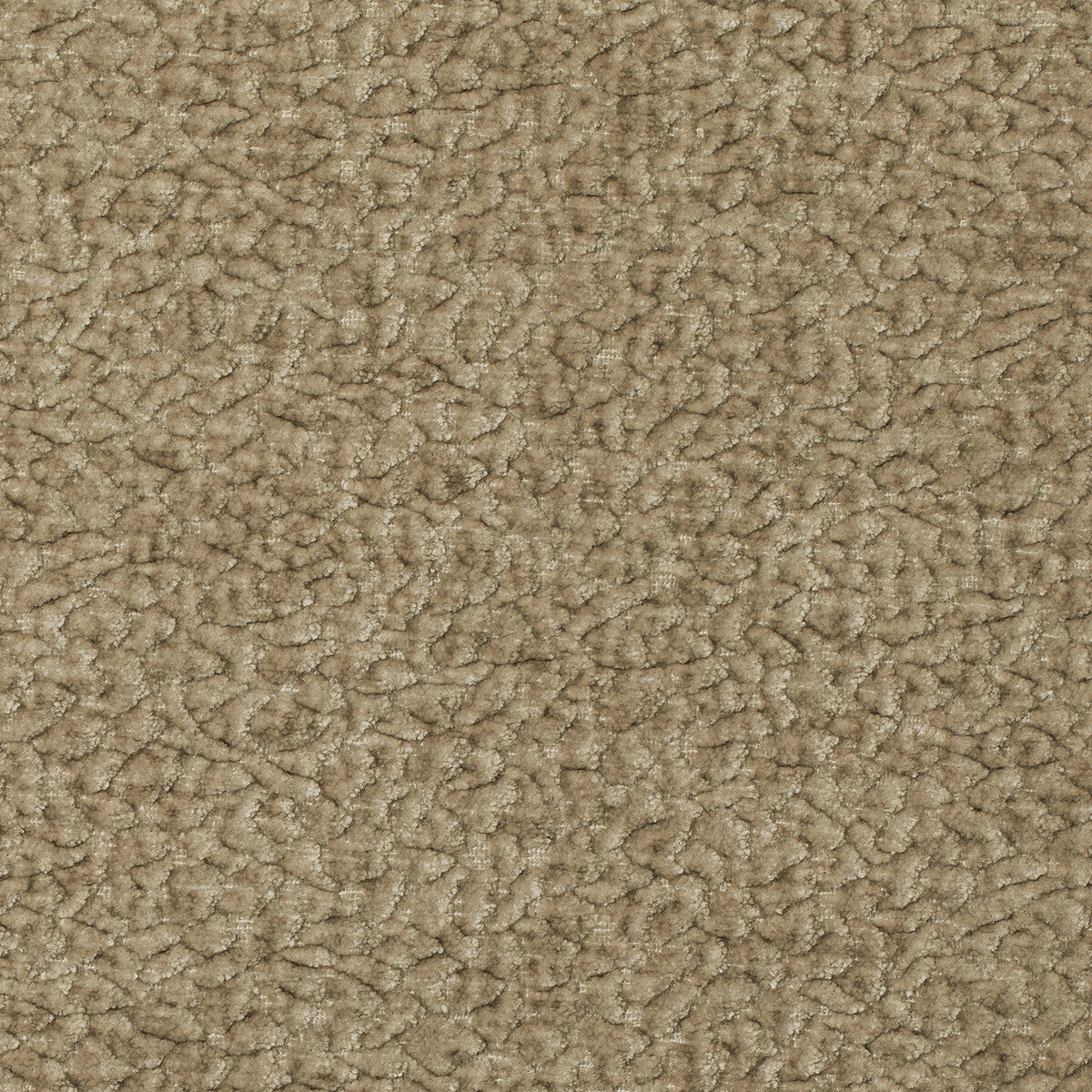 Barton Chenille-Oat