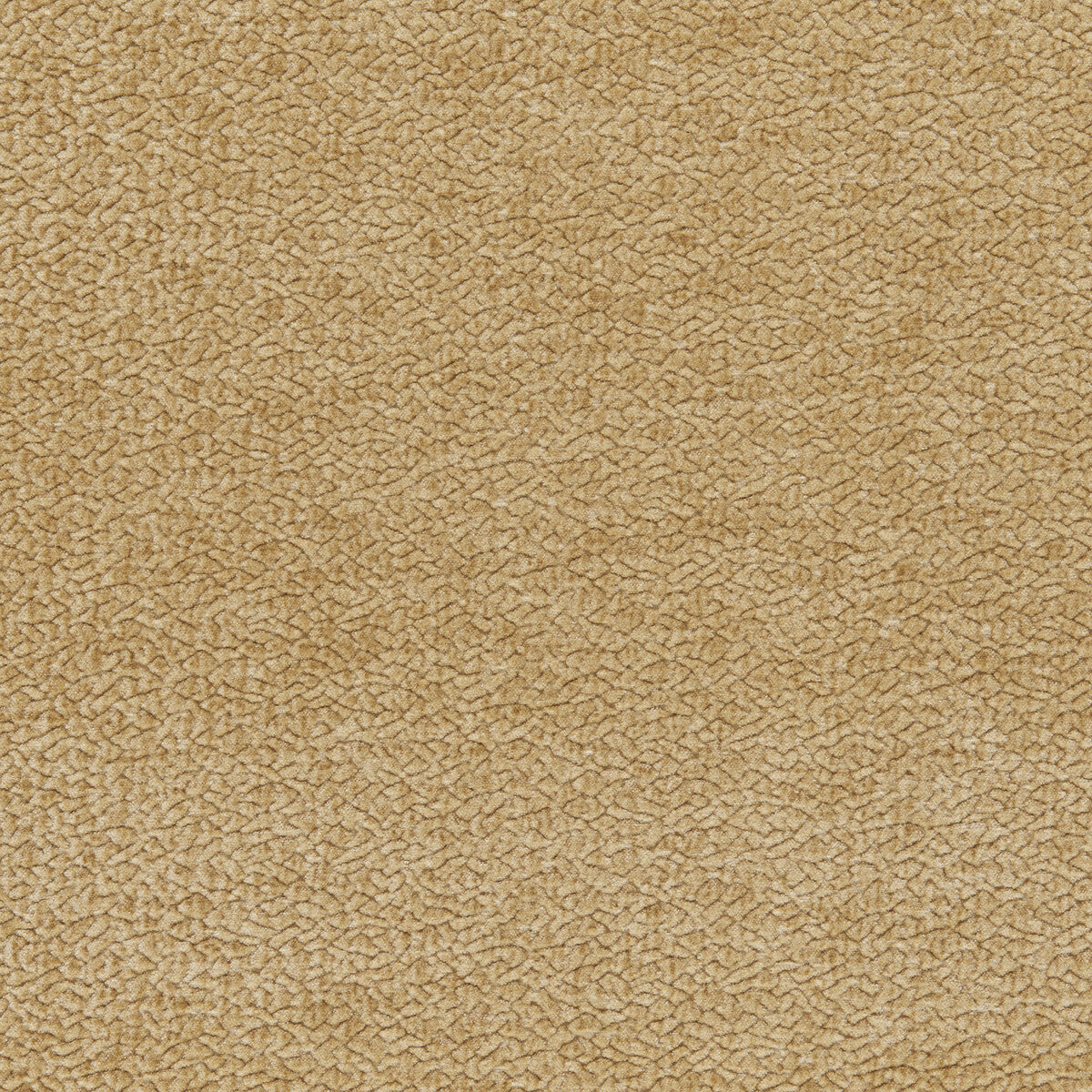 Barton Chenille-Nut