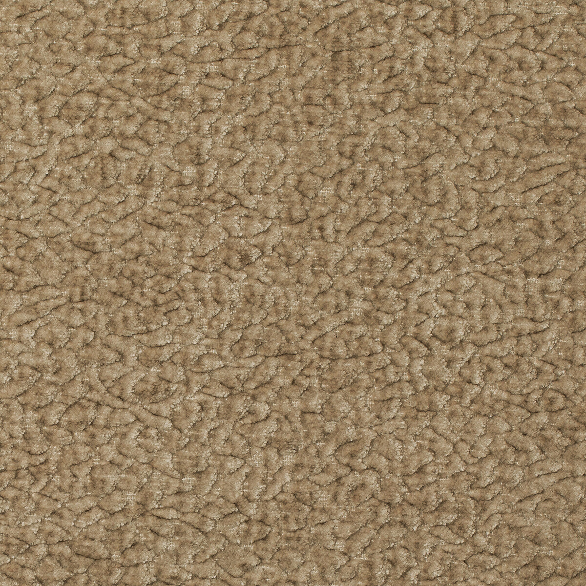 Barton Chenille-Champagne