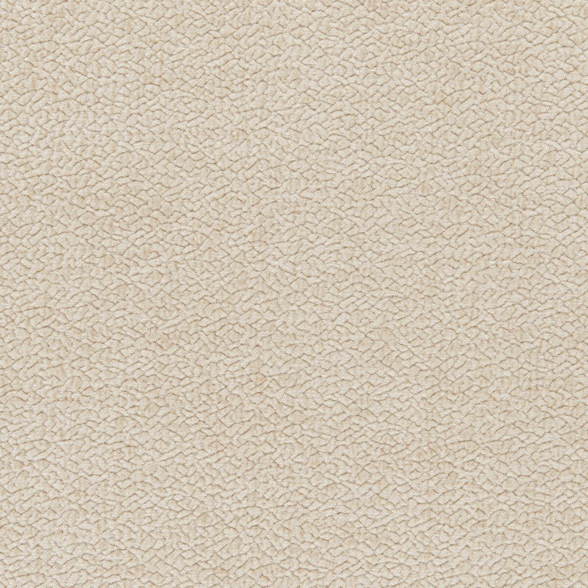 Barton Chenille-Foam