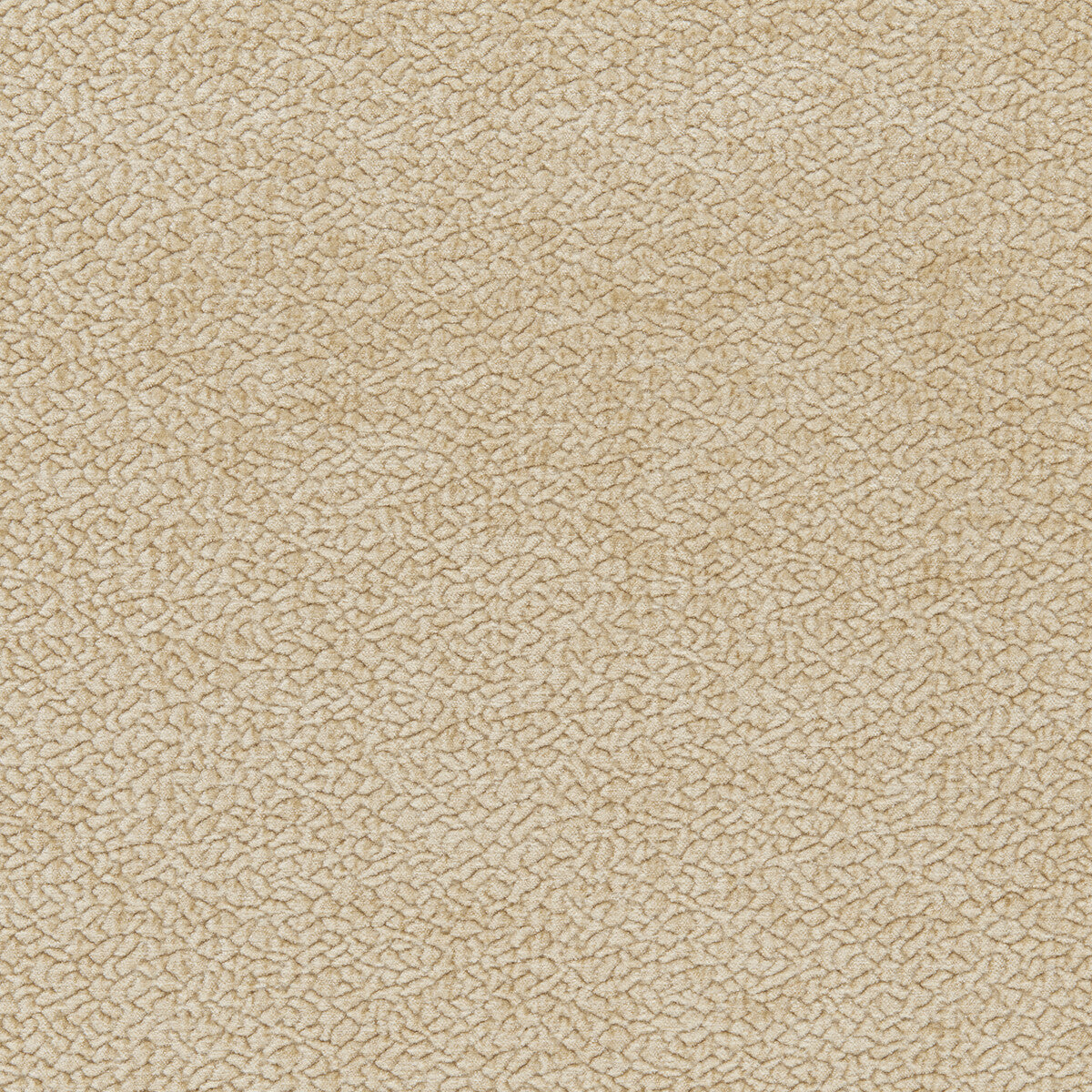 Barton Chenille-Almond