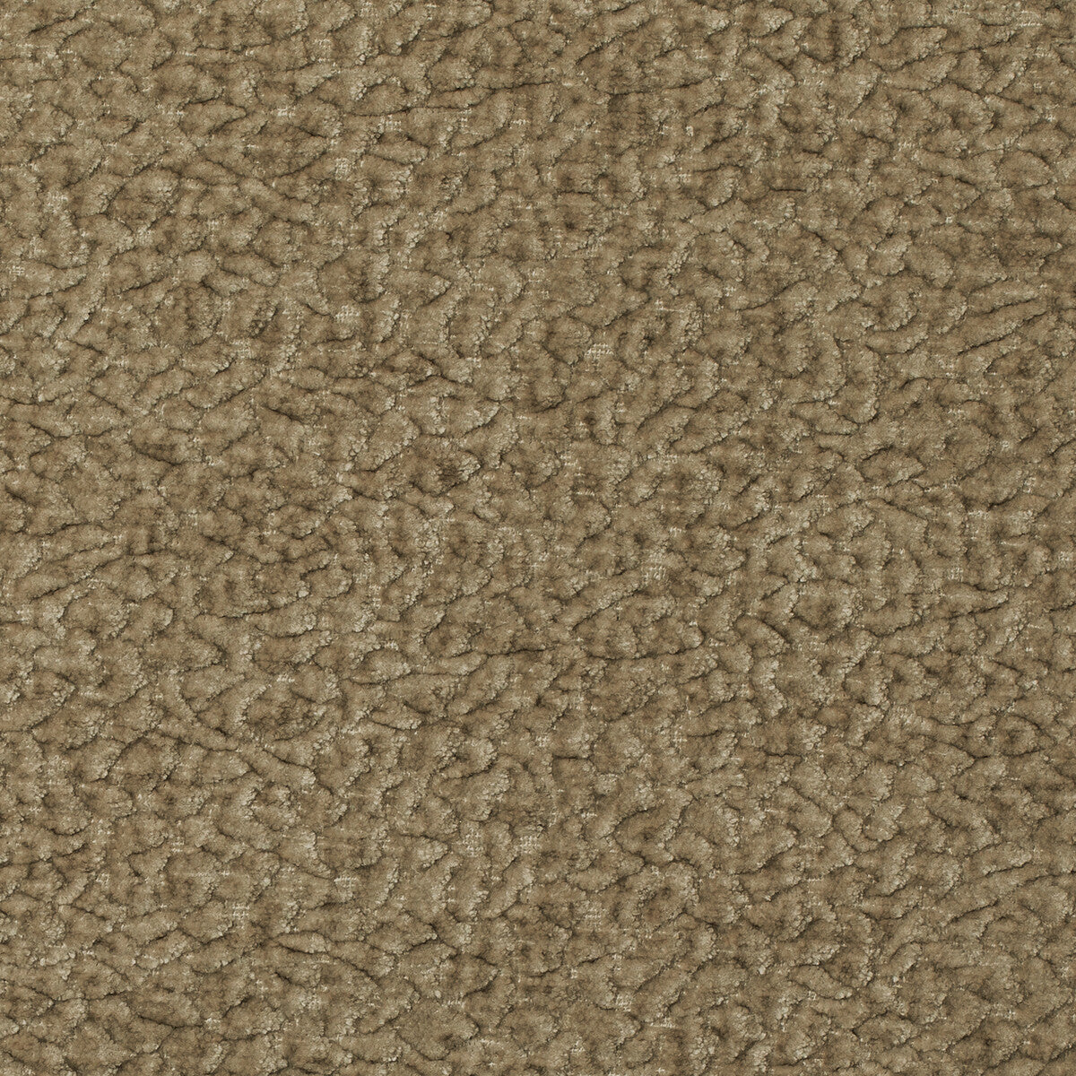 Barton Chenille-Fossil