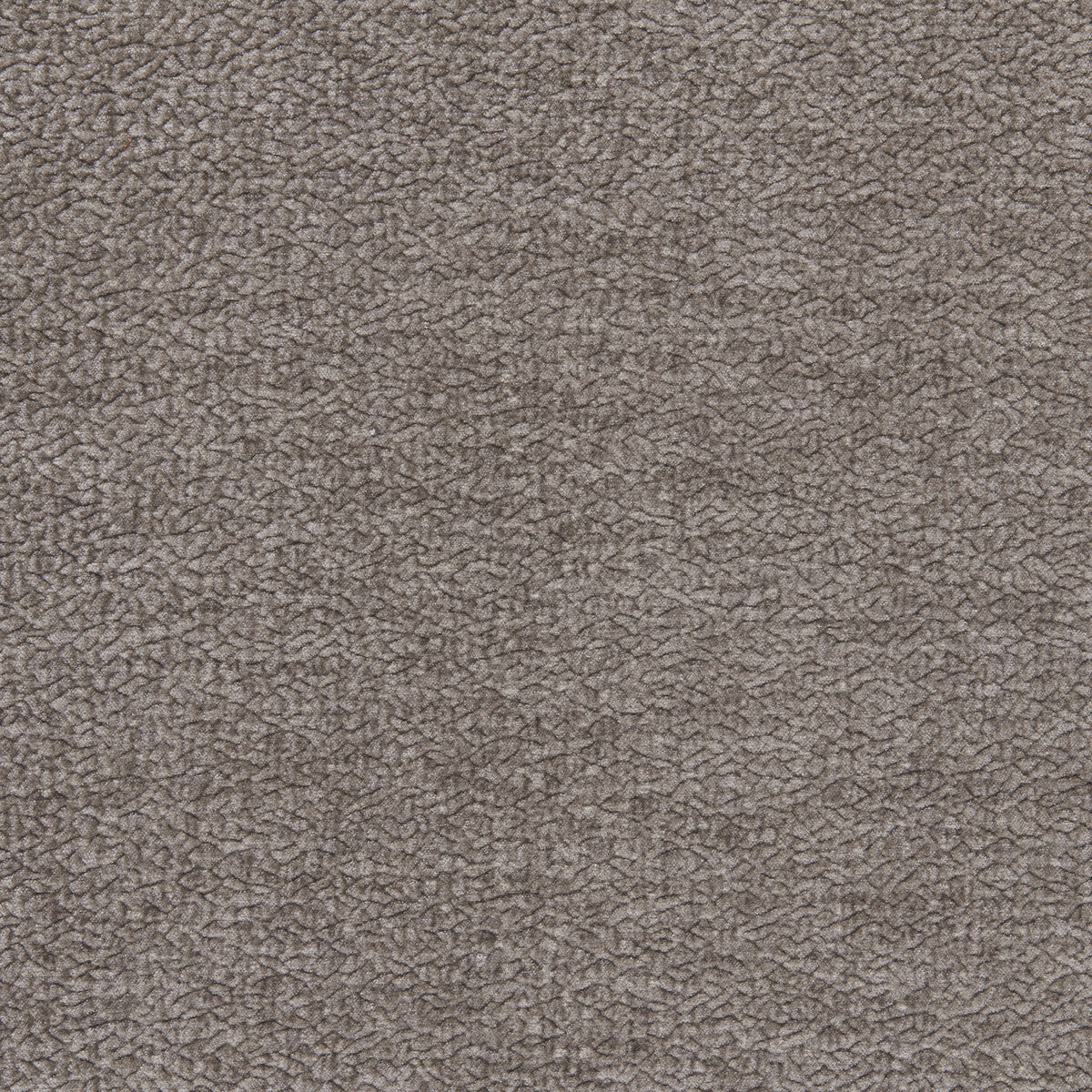 Barton Chenille-Platinum