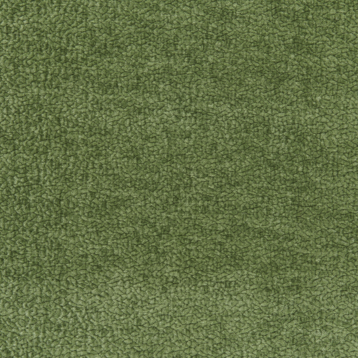 Barton Chenille-Shamrock