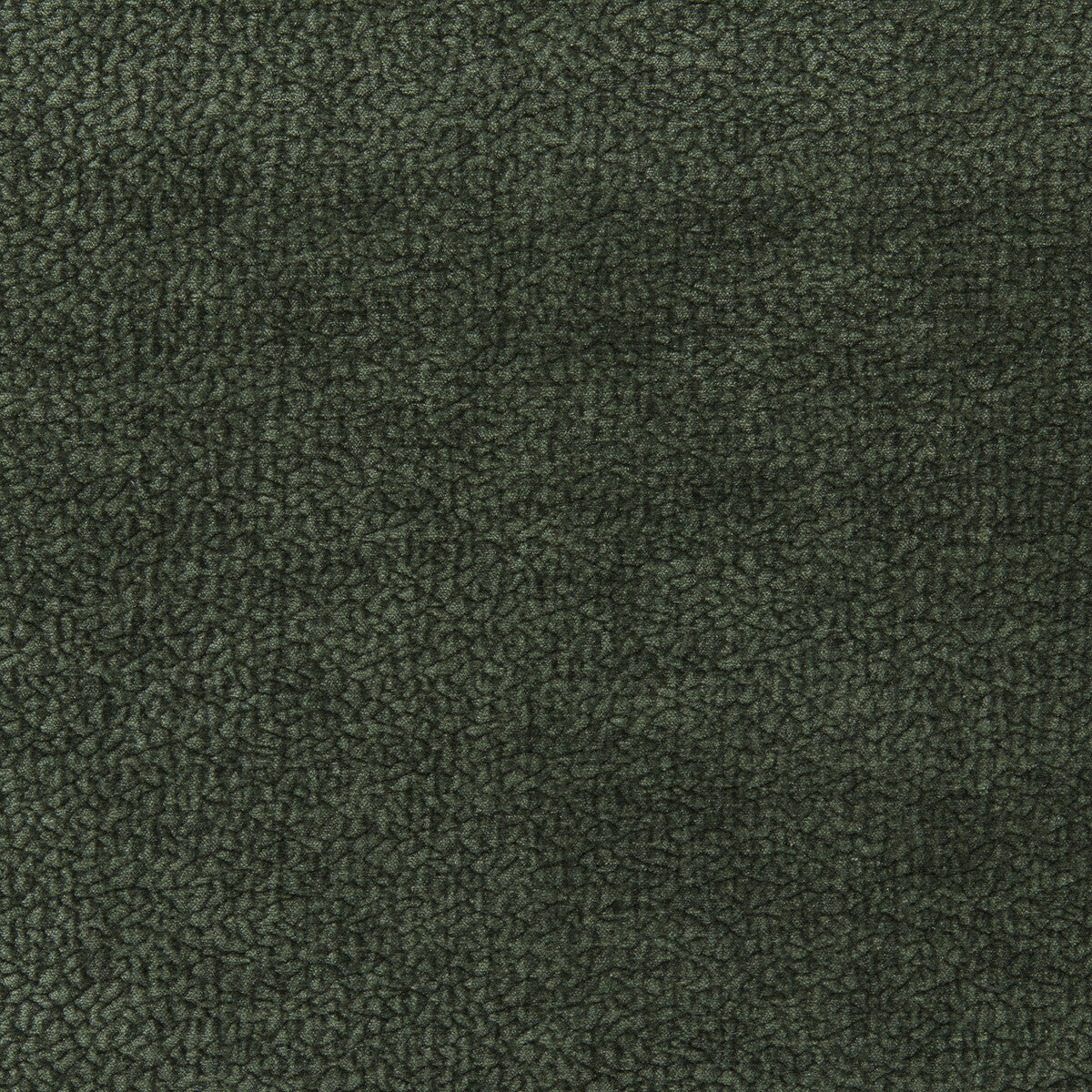 Barton Chenille-Moss