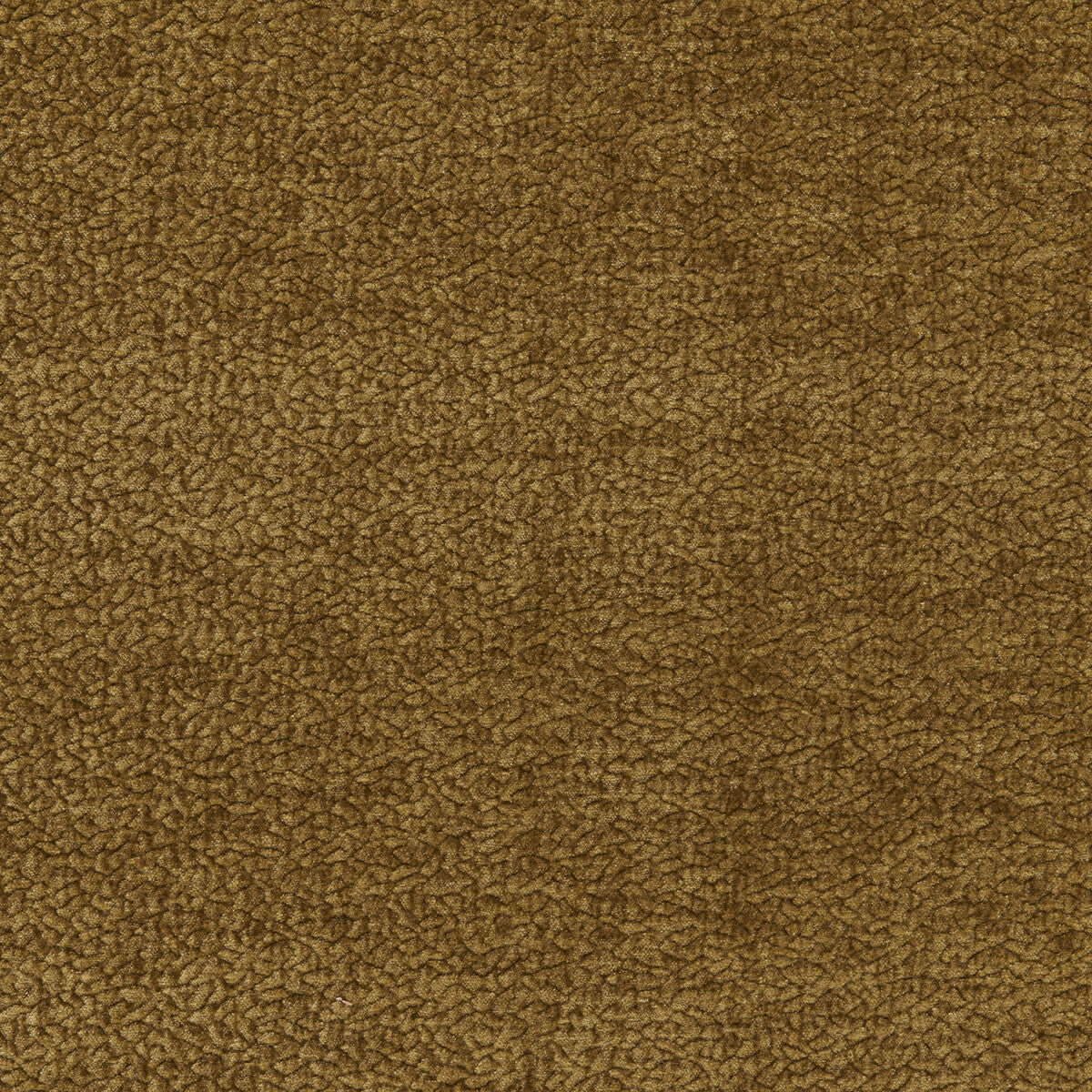 Barton Chenille-Olive
