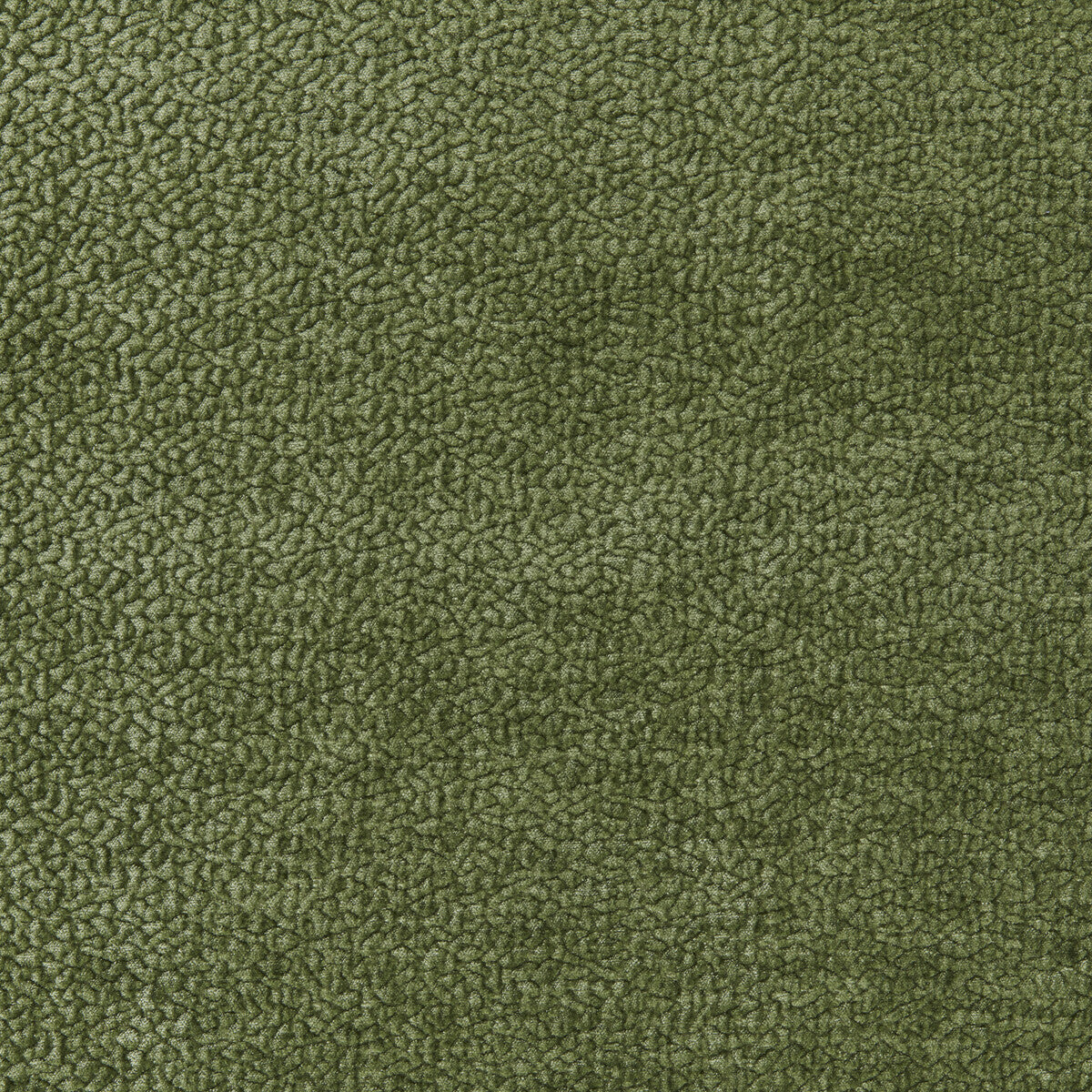 Barton Chenille-Jade