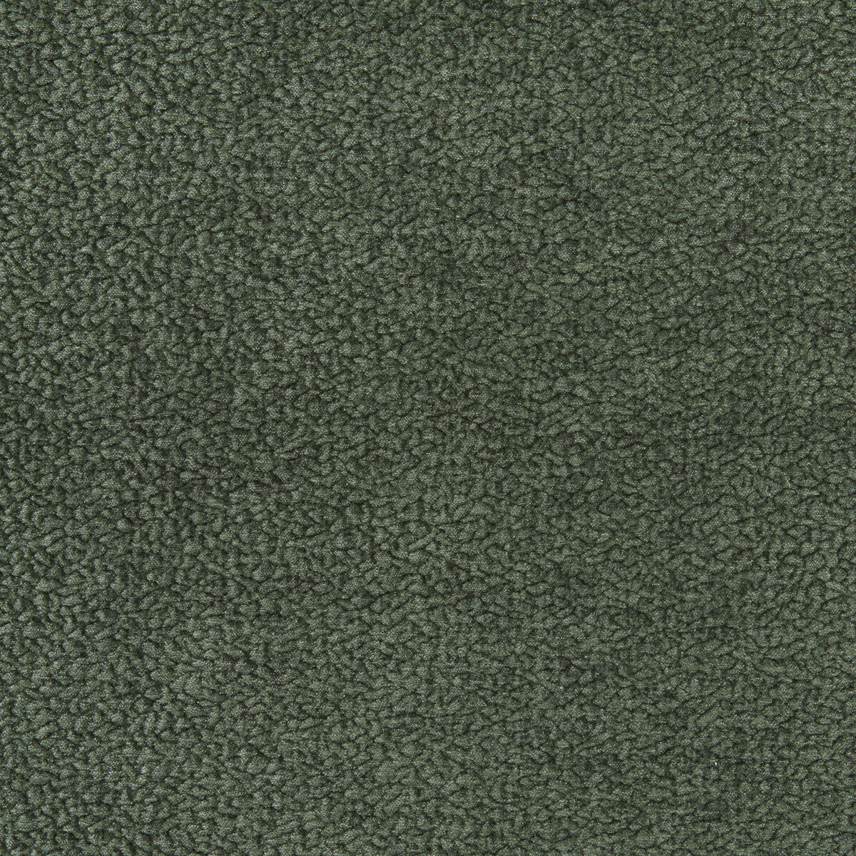Barton Chenille-Fern