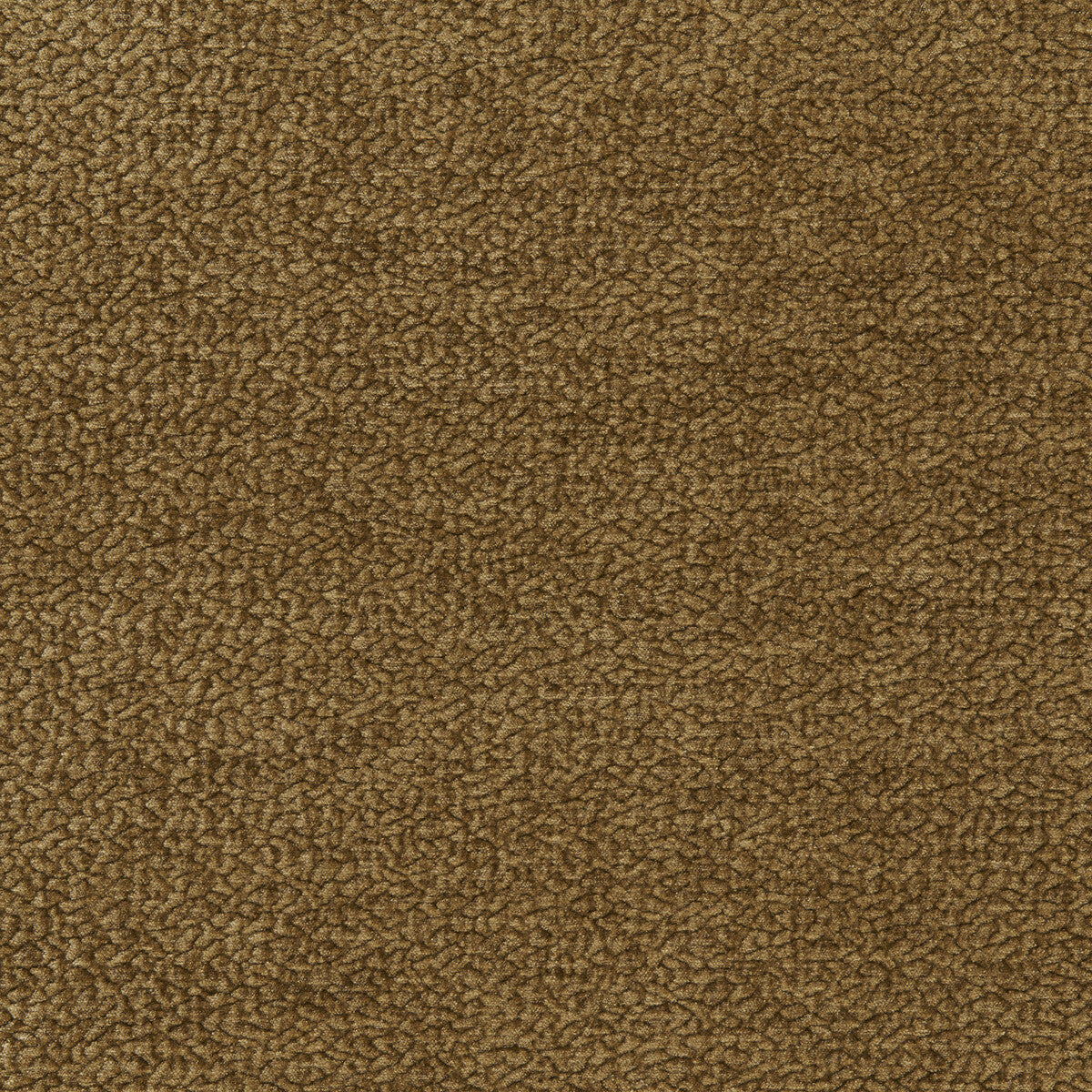 Barton Chenille-Oregano
