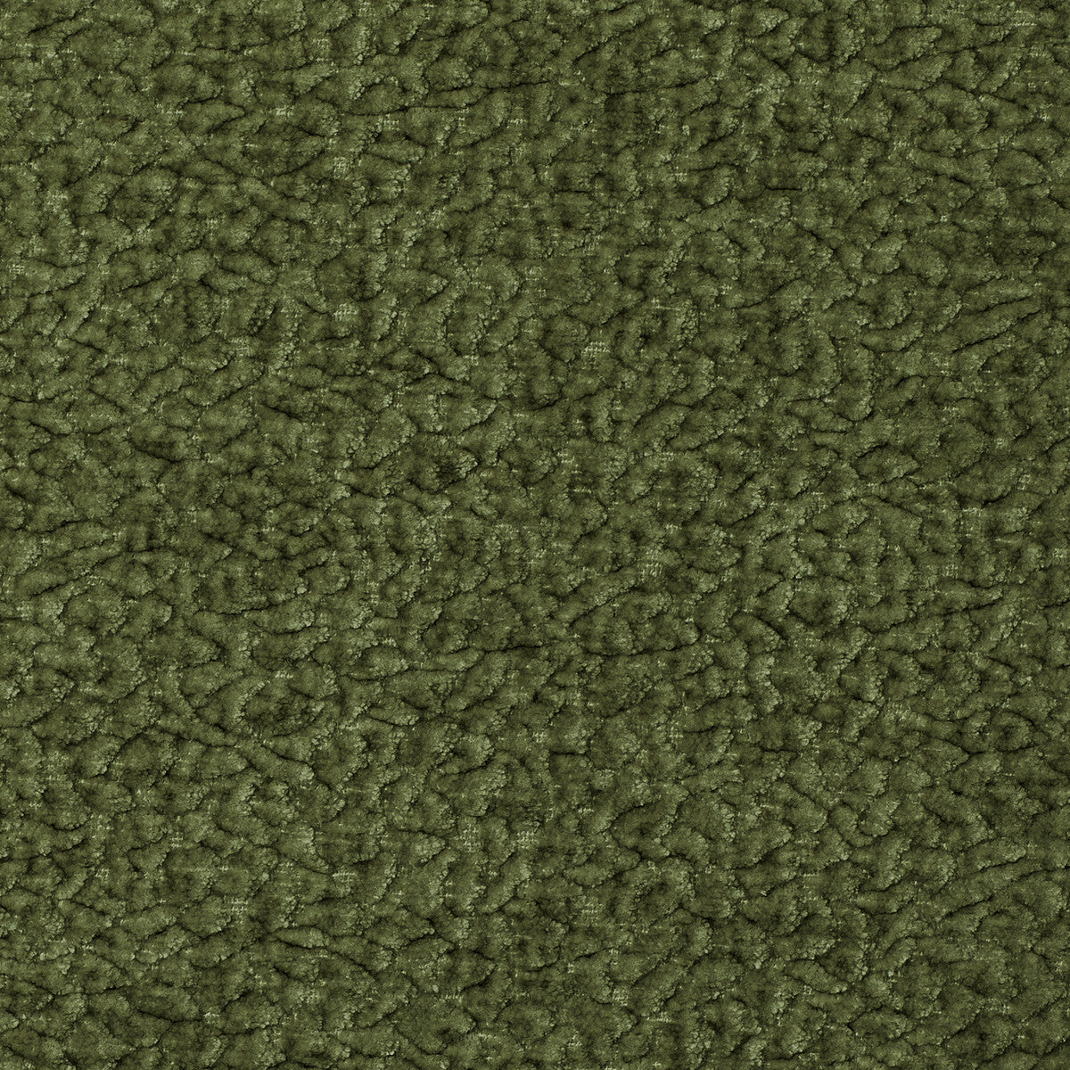 Barton Chenille-Cactus