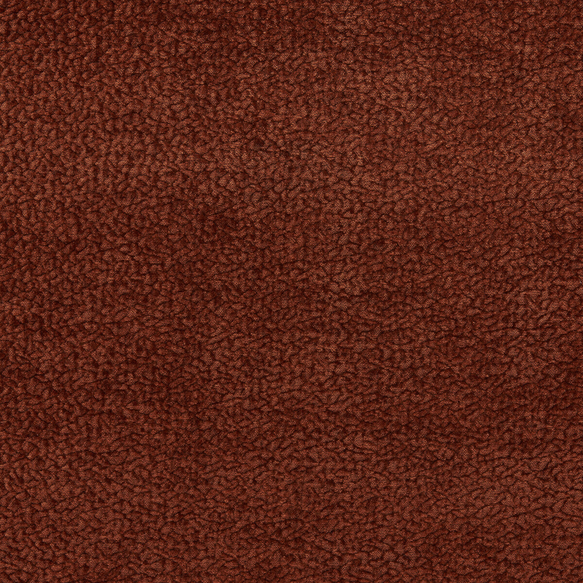 Barton Chenille-Currant