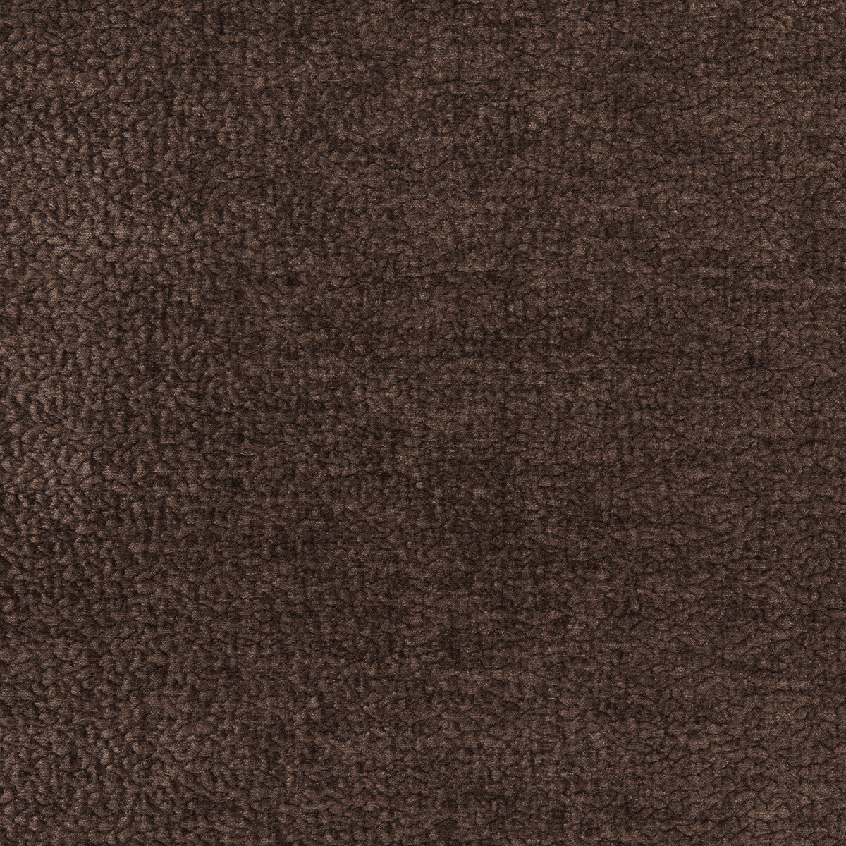 Barton Chenille-Chocolate
