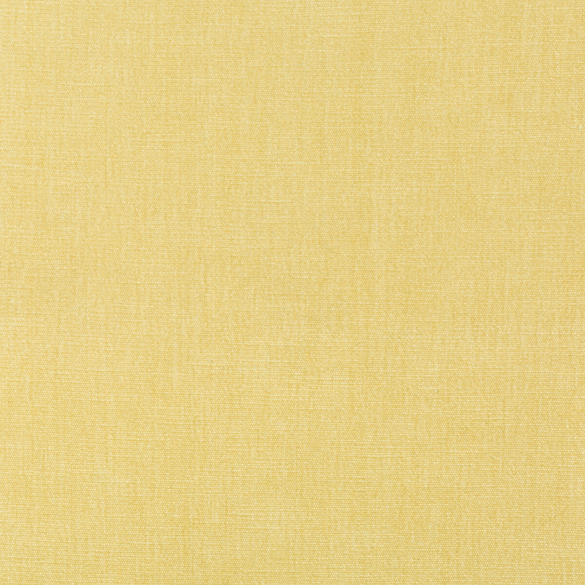 Kravet Smart-36076-1116