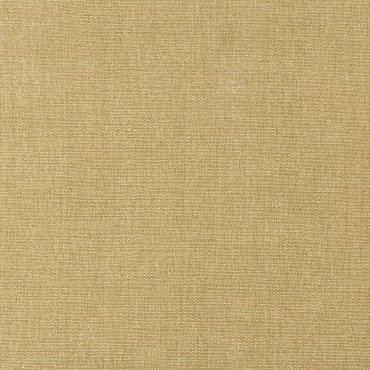 Kravet Smart-36076-161