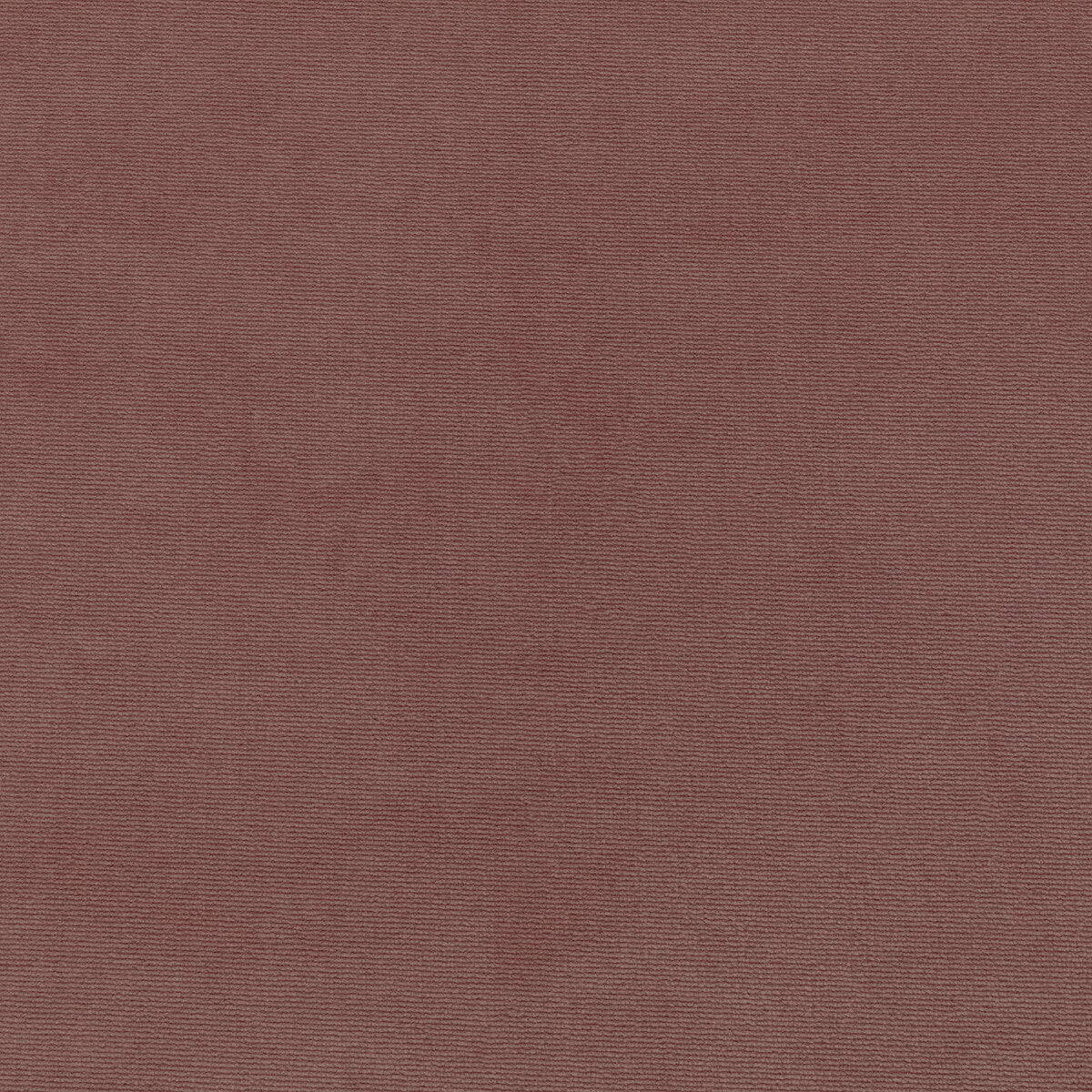 Kravet Smart-36111-77