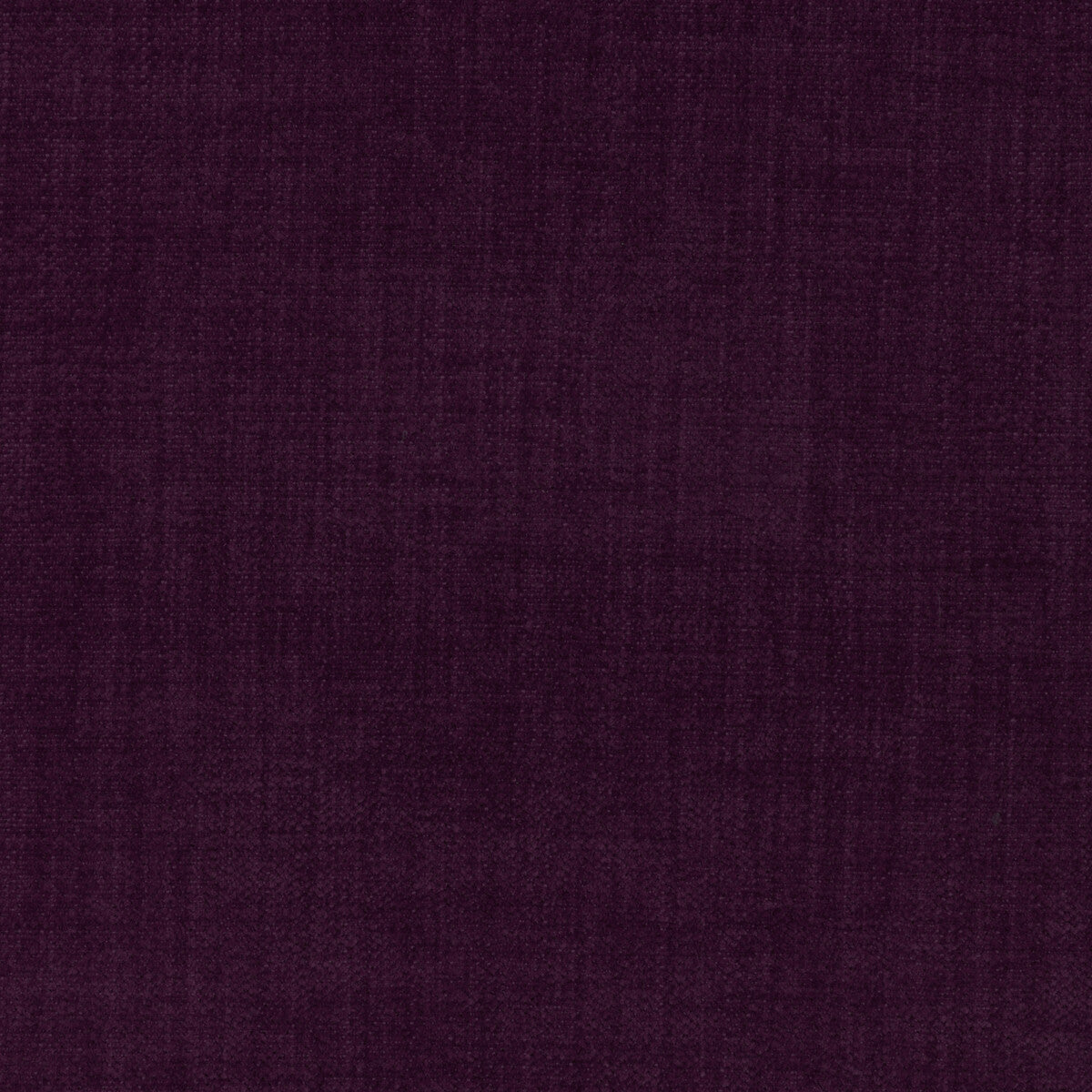 Accommodate-Mulberry