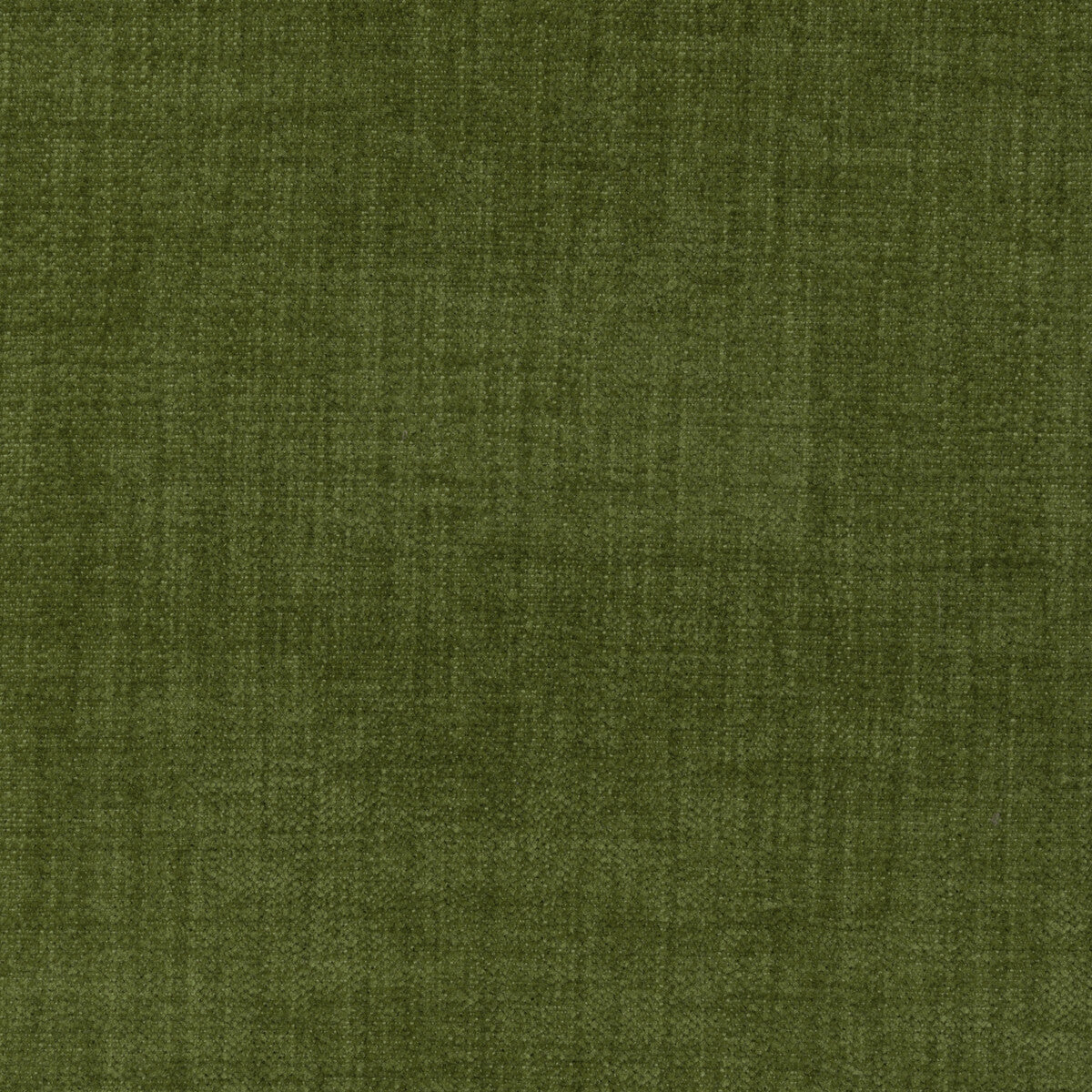 Accommodate-Moss