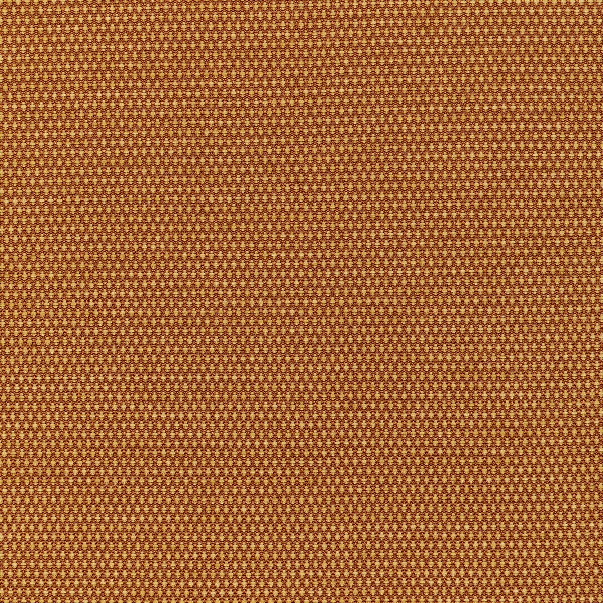 Mobilize-Ginger
