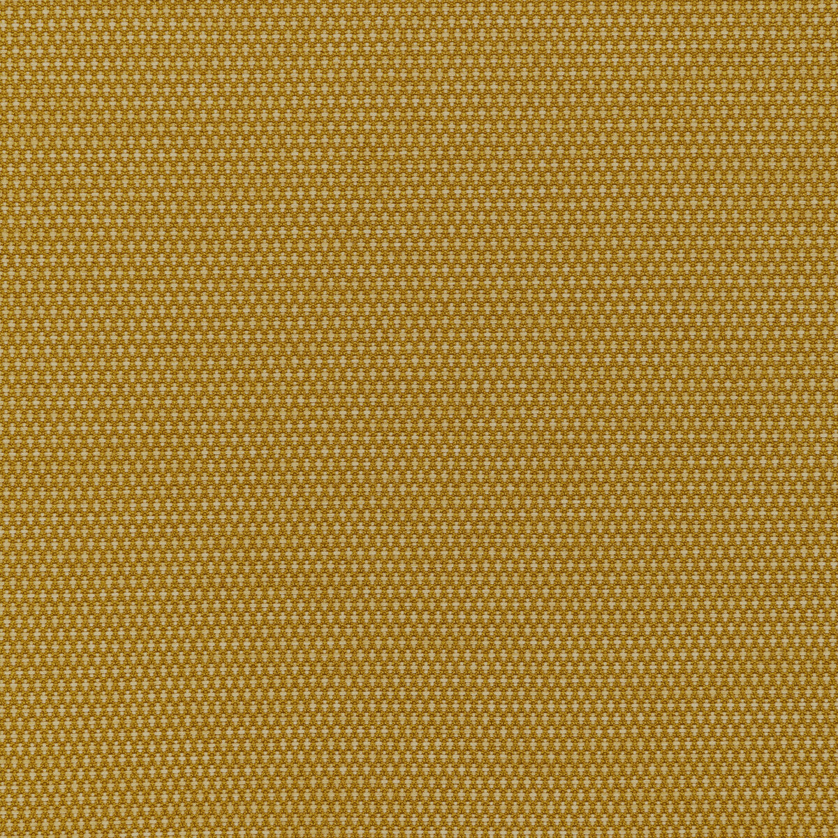 Mobilize-Midas