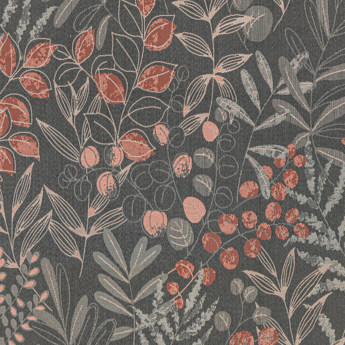 Lakeshore-Coral