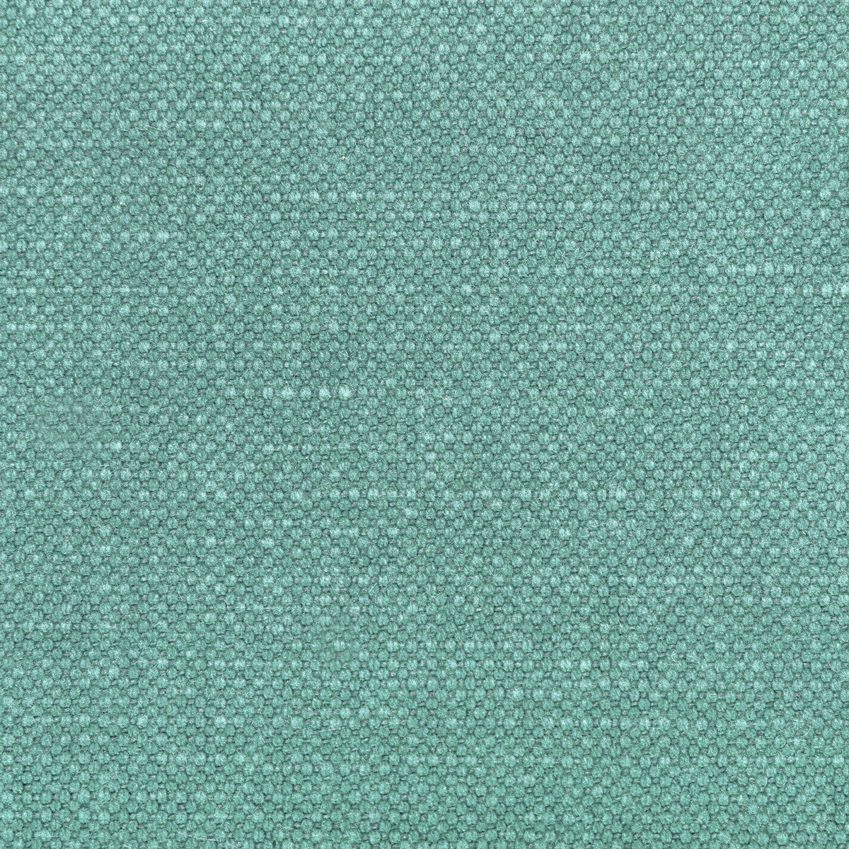 Carson-Spearmint