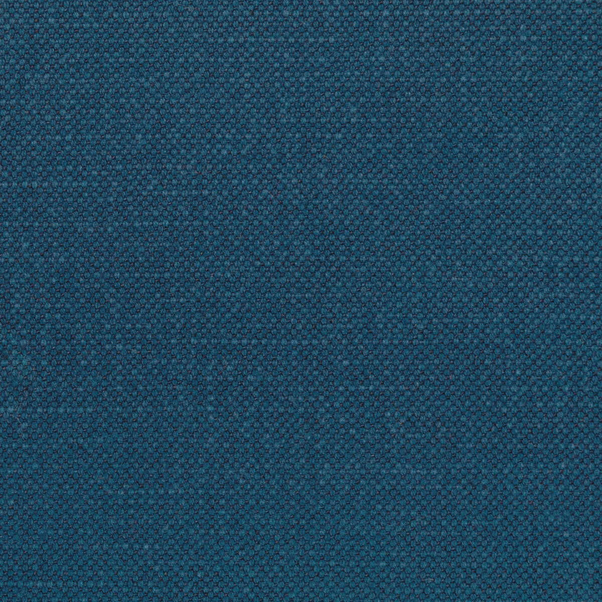 Carson-Indigo