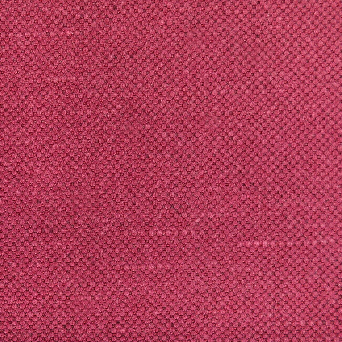 Carson-Fuchsia