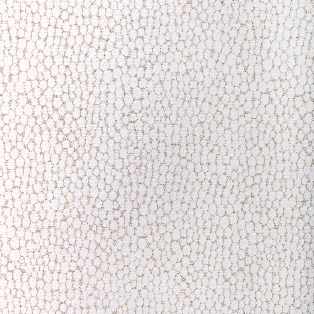 Starfall-Ivory Silver