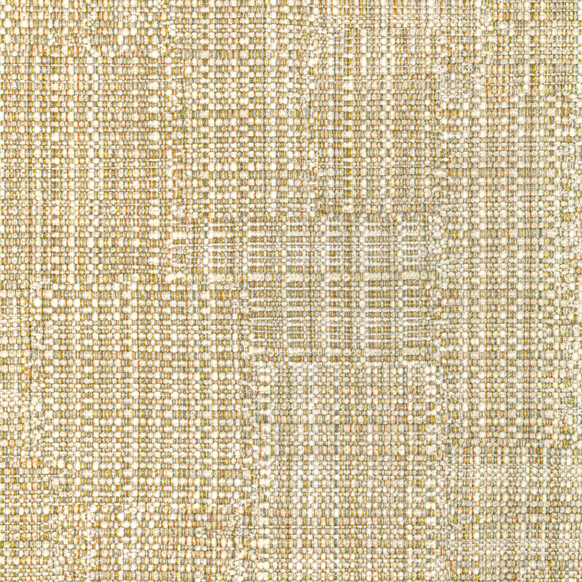 Seedbed-Golden Olive