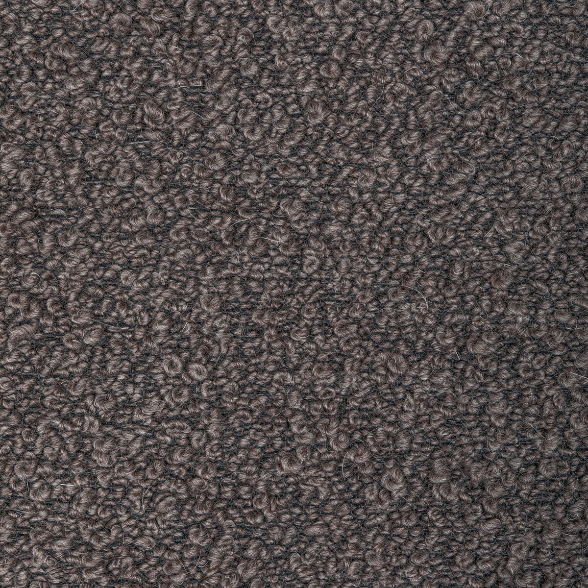 Woolywooly-Fig