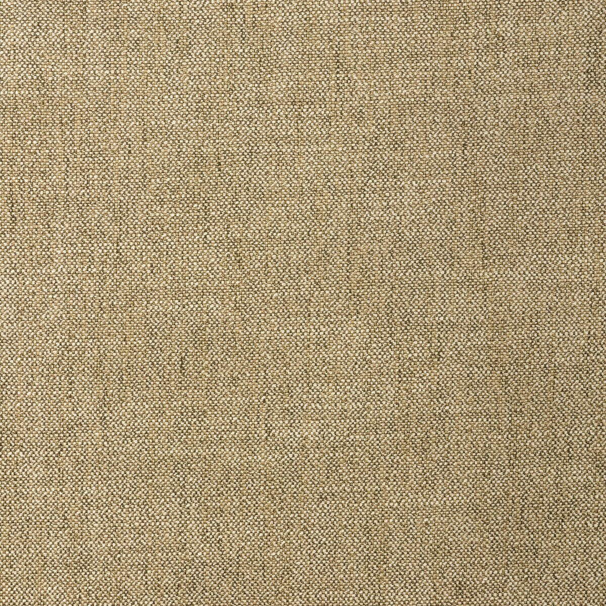 Kravet Basics-36537-316