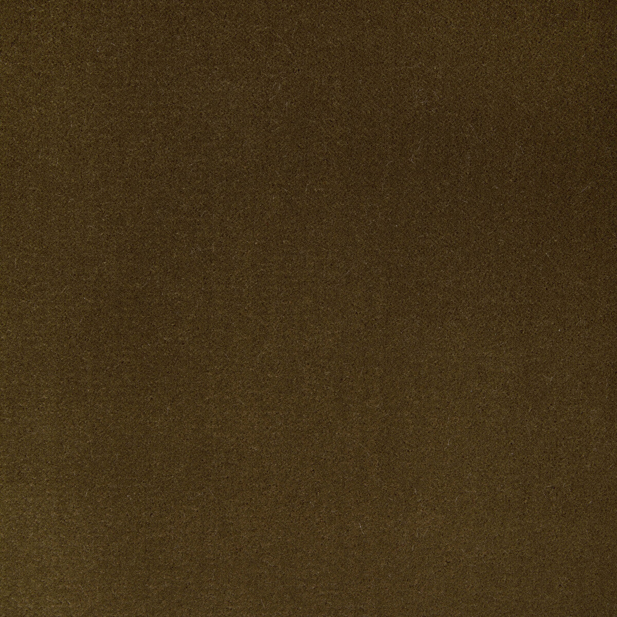 Fomo-Bronze