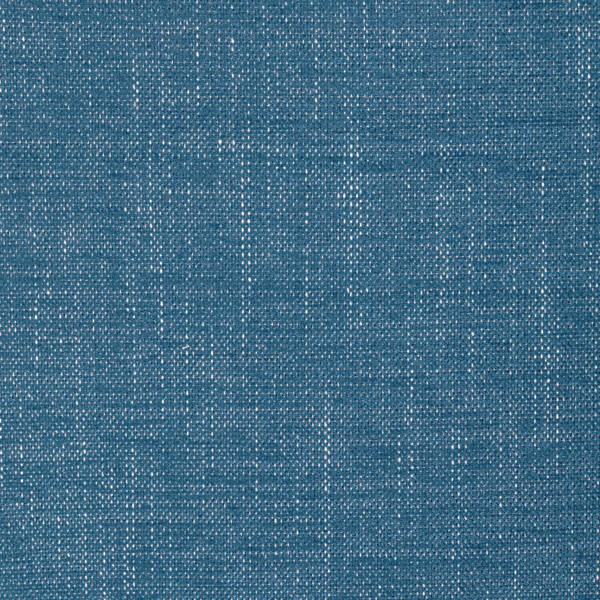 Poet Plain-Indigo