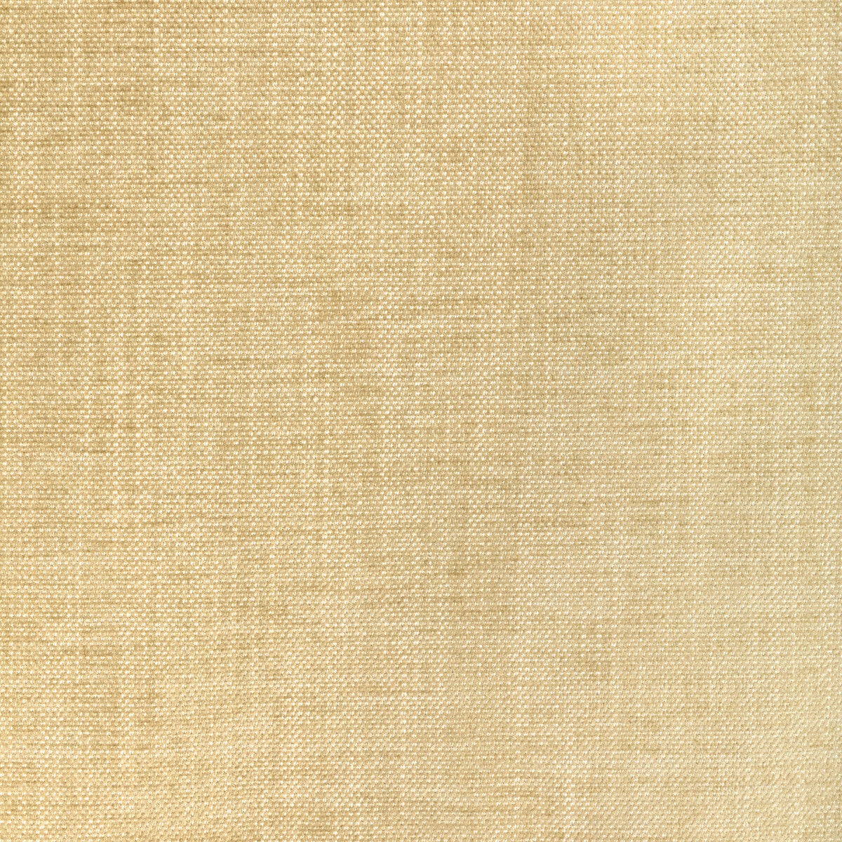 Kravet Smart-36650-1116